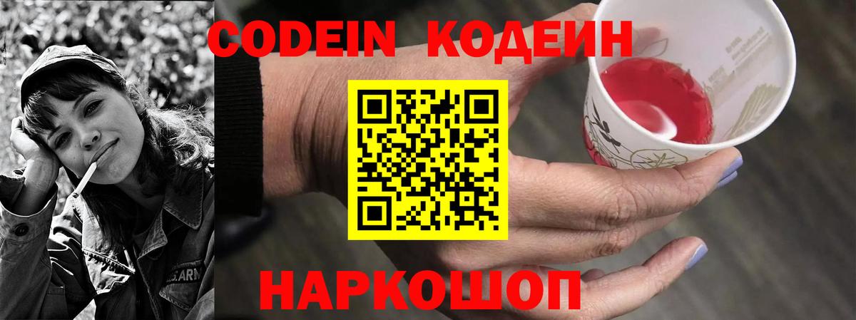 купить наркотики цена  Вход с VPN  Алейск  Кодеиновый сироп Lean напиток Lean (лин) 