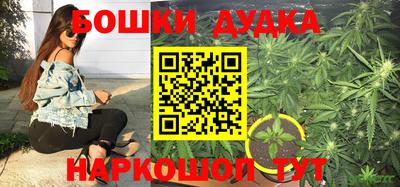 индика Азнакаево