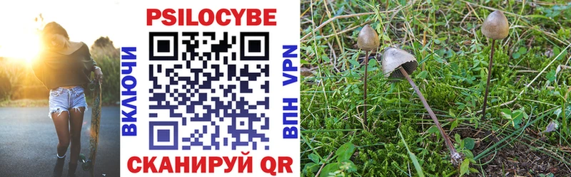 закладка  Алейск  Псилоцибиновые грибы Magic Shrooms 