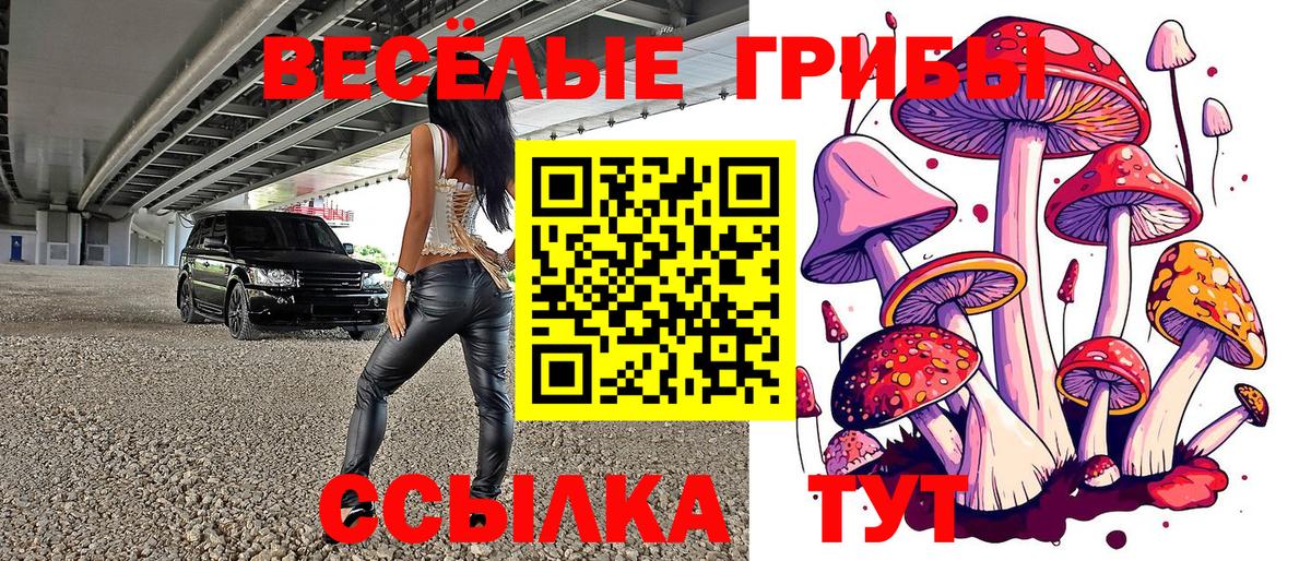 Галлюциногенные грибы Cubensis  Псилоцибиновые грибы Psilocybe  Вход с VPN  Алейск 