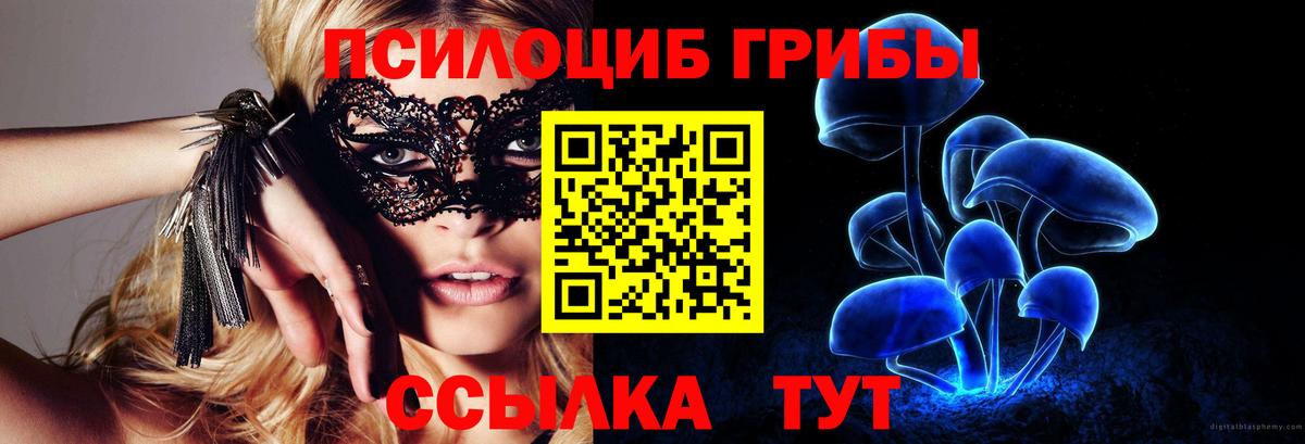 Галлюциногенные грибы Psilocybe Алейск